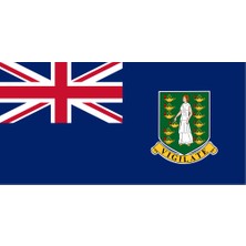 Virgin Adaları Ülke Bayrağı 45X22CM Duvar Tablosu Çerçevesiz Pvc Tablo