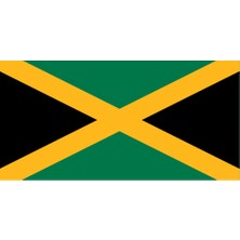 Jamaika Ülke Bayrağı 45X22CM Duvar Tablosu Çerçevesiz Pvc Tablo