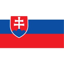 Slovakya Ülke Bayrağı 45X30CM Duvar Tablosu Çerçevesiz Pvc Tablo