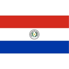 Paraguay Ülke Bayrağı 45X25CM Duvar Tablosu Çerçevesiz Pvc Tablo