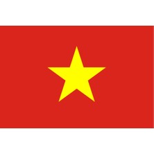 Vietnam Ülke Bayrağı 45X30CM Duvar Tablosu Çerçevesiz Pvc Tablo