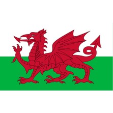 Galler Ülke Bayrağı 45X27CM Duvar Tablosu Çerçevesiz Pvc Tablo