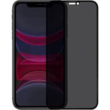 Nettech Apple iPhone Uyumlu Proof Dust Tools Hayalet Full Cam Koruyucu (Siyah) NT-104132