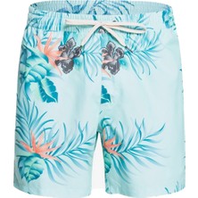 Quiksilver Paradise Express Volley 15 Erkek Yeşil Volley Short