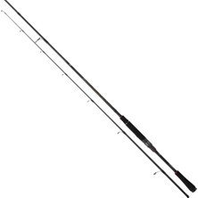 Daiwa Ballistic X 244 cm 14-42 gr Spin Kamış