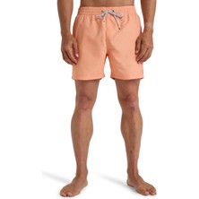Bıllabong Billabong All Day LB Erkek Turuncu Deniz Şortu.66
