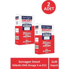 Asfstore Sorvagen Smart Sitikolin Dha Omega 3 ve B12 30 Kapsül 2 Adet