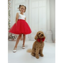 Ada Model Kırmızı / Beyaz Mezuniyet , Kutlama Elbisesi