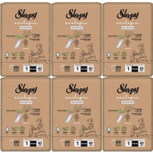 Sleepy Ecologic Premium Günlük Ped Normal 6 x 40