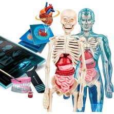 64474 Bilim ve Oyun - Süper Anatomi +8 Yaş