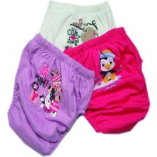 3 Adet Kız Çocuk Alıştırma Külodu