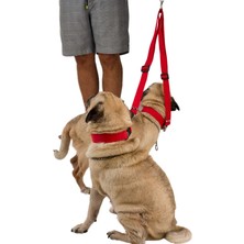 Viselia Köpek Tasması Çoklayıcı Çiftli Gezdirme Kayışı Premium Kalite Kopma Yapmaz Hafif Kolon Kumaş