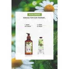 Yves Rocher Sıvı Sabun- Tazeleyici Mine Çiçeği Papatya - SLS,SLES İçermez,Vegan
