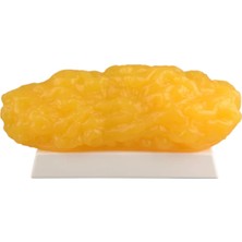 Yağ Replikası 2,27 kg