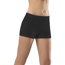 4527 Boxer Korse