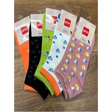 Renkli Desenli Patik  Çorap (12 Adet) 36-40 Numara