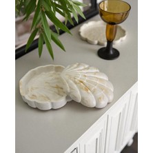 Beton Midye Kabuğu Kutu, Ev Aksesuarı, Dekoratif Obje