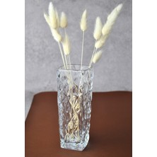 Lavender Cam Vazo Mini 15 Cm- 1 Adet 15X6 cm