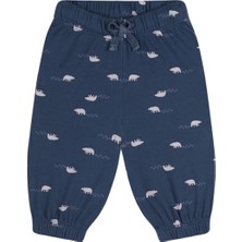 Antebies Organik Lacivert Kutup Ayısı Desenli Beli Lastikli Bağcıklı Erkek Bebek Eşofman