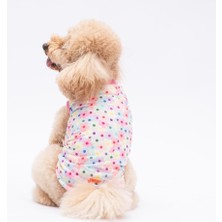 Spring Flowers Kedi Köpek Tişörtü - Kedi Köpek Kıyafeti