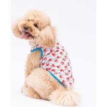 Fun Crabs Kedi Köpek Tişörtü - Kedi Köpek Kıyafeti