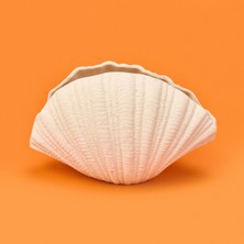 Evidea Deco Denia Vazo - Bej - 17 cm