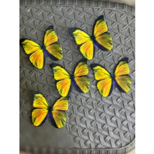 6x6 cm 5 Adet Kelebek Set Arma Dikiş Aplike