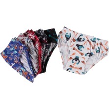 Erkek Çocuk Renkli Desenli Pamuklu Külot 12'li