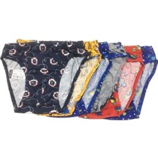 Erkek Çocuk Desenli 6 Lı Paket Slip Külot