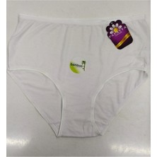 Kadın Yüksek Bel Bambu 6'lı 6 Adet %100 Pamuklu Modal Külot Extra Rahat Alt Çamaşır