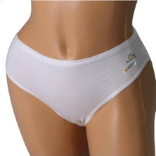 3 Lü Paket Modal Kadın Külot 1850