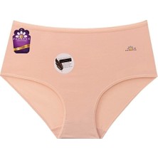 Yüksek Bel Logolu Modal Basic Külot 3'lü Paket - 1851