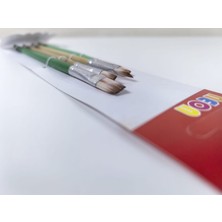 Neon 4'lü Düz Uç Fırça Seti HKD-142