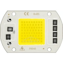 220 Volt 50 Watt Mavi Projektör Cob LED Çipi