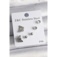 Clariss 316L Çelik Gümüş Renk Zirkon Taşlı Kelebek Model Kadın Küpe Seti