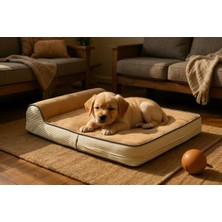 Viscopet Premium Cleopatra Blok Sungerli Alezli Fermuarlı Yıkanabilir Köpek Yatağı