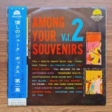 Among Your Souvenirs Vol.2