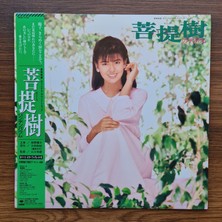 Linden Tree Soundtrack