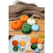 Dekoratif Kabak 5'li Set Renkli Vernikli Dekorasyon Kabak Seti