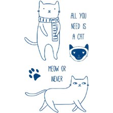 Tattoo GZ-131 Orta Boy Yarı Kalıcı All You Need Is A Cad Meow Yazılı Kedi Desen Dövme-Tatto