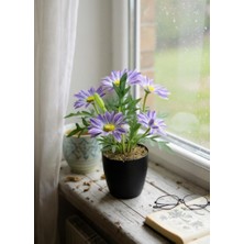 Yapay Çiçek Mor Margarit Papatya Siyah Saksıda Dekoratif Yapay Çiçek 30*25CM