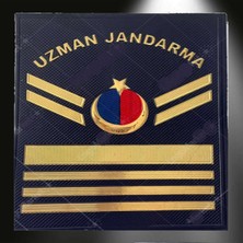 Uzman Jandarma 7 Kademeli Çavuş Asayiş 3D Plastik Rütbe, Çift, 2025 Yeni Tip Cırtlı, Standart Ölçü,