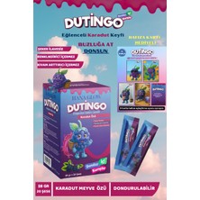 Hana Glow Dutingo Dondurulabilir Karadut Stick | 28GR x 20 Tek Kullanımlık |pestisit & Analizli|