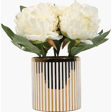  Saksılı  Şakayık Beyaz 26CM