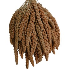 Kuşlar Için Kızıl Dal Darı 150 gr