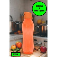 750 ml Su Matarası Eve, Okula, Spora, Iş Yerine Uygun & Su Şişesi & Suluk - Turuncu
