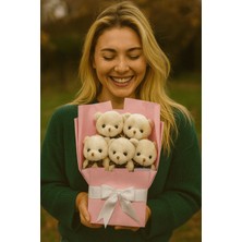 Peluş Ayıcık Buketi Bej – 5’li Sevimli Teddy Bear Aranjmanı | Hediyelik ve Dekoratif