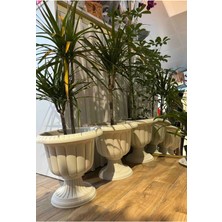 Nergis Dekoratif Saksı Iç Mekan Dış Mekan Büyük Bahçe Kapı Önü Saksısı 9,8 Litre