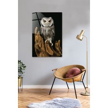 Saydam Baykuş Temalı Cam Tablo, 40X60CM, Şık ve Estetik Dekorasyon Ürünü