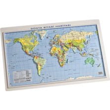 35X50 cm Kabartma Dünya Siyasi Harita, Dekoratif ve Eğitici.